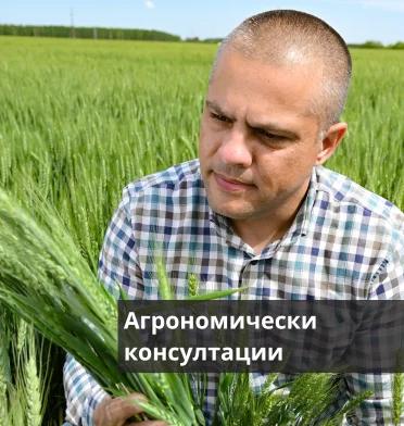 Агрономически консултации