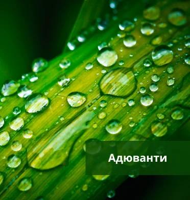 Адюванти