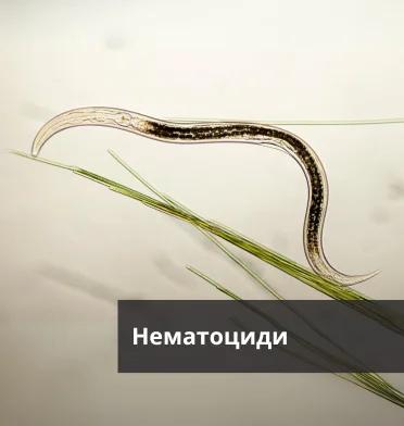 Нематоциди