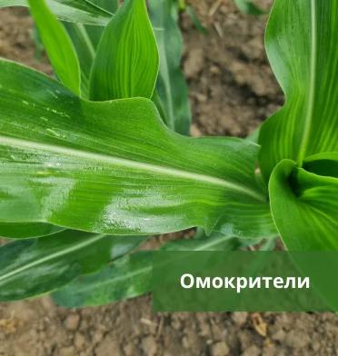 Омокрители