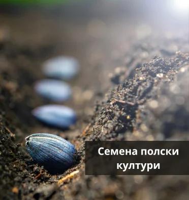 Полски култури
