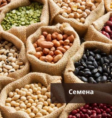 Семена