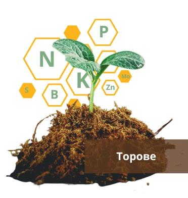 Торове