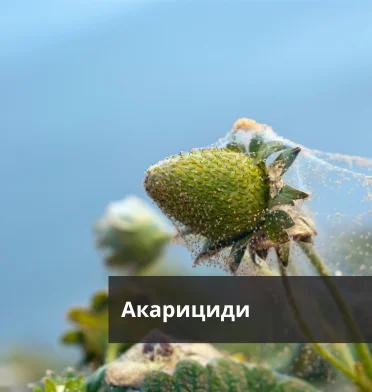 Акарициди