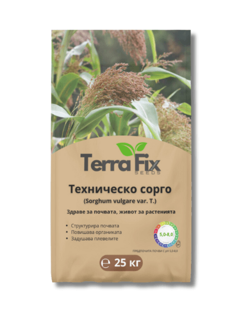 Tехническо сорго- sorghum vulgare