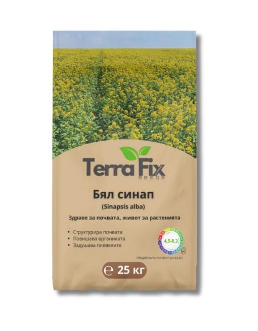 Бял синап (Sinapis alba)