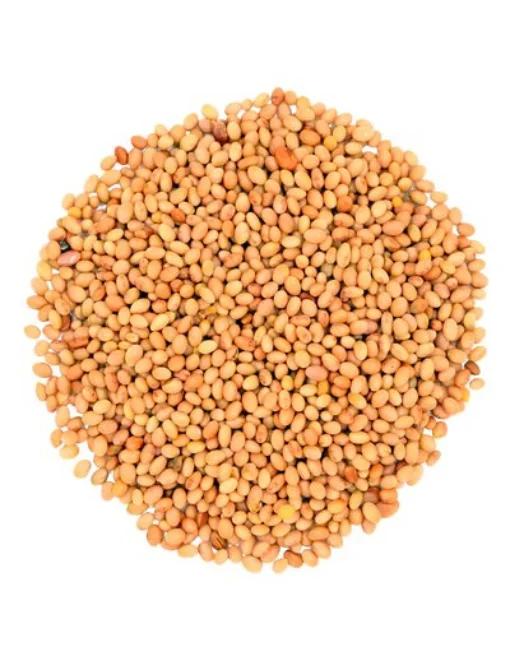 Червена детелина (Trifolium pratense)