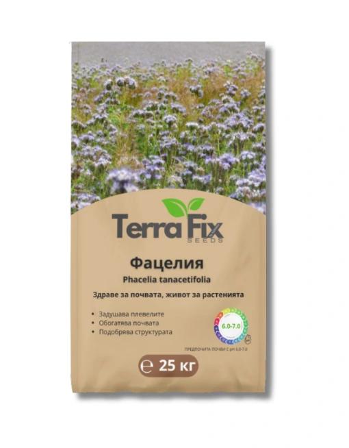 Фацелия - Phacelia tanacetifolia