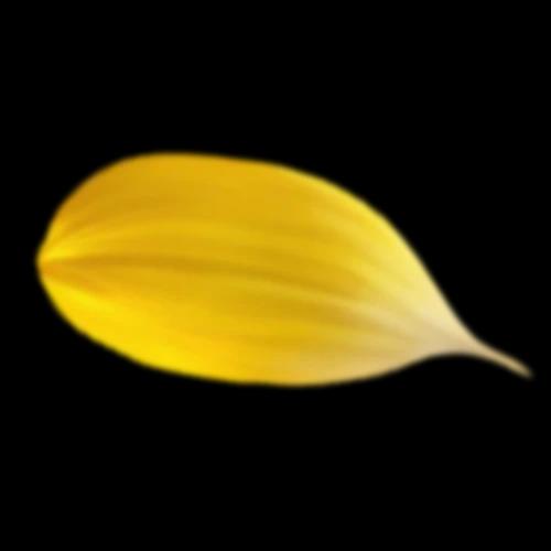 Leaf 02