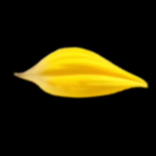 Leaf 02
