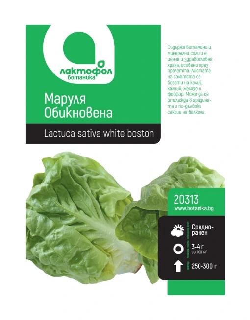 Маруля Обикновена