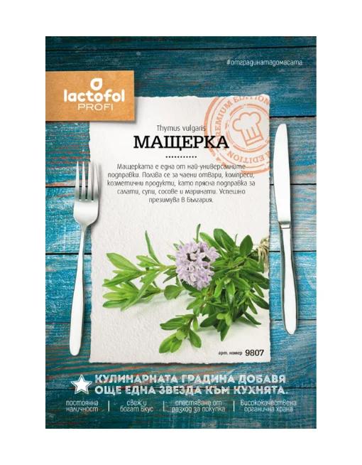 Мащерка