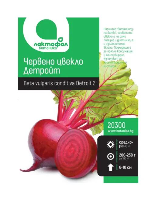 Червено цвекло Детройт