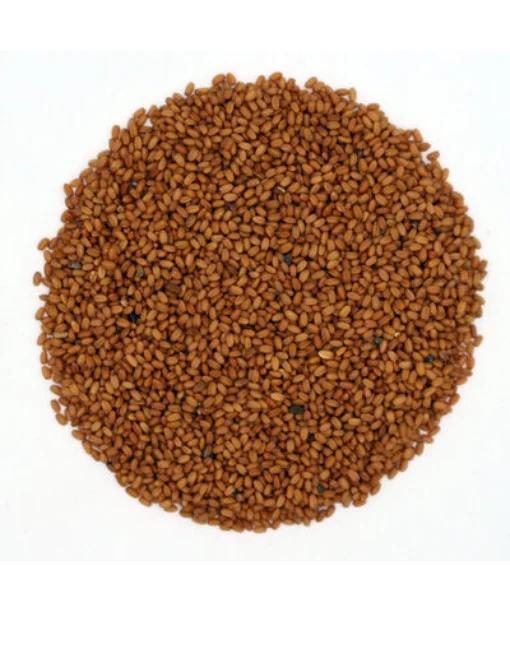 Камелина Camelina Sativa
