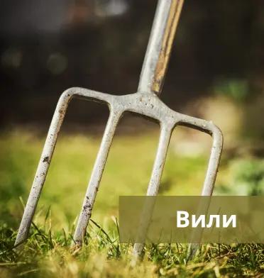 Вили