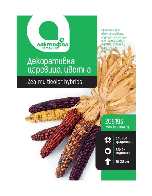 Декоративна царевица