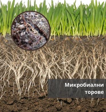 Микробиални торове