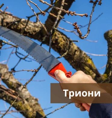 Триони