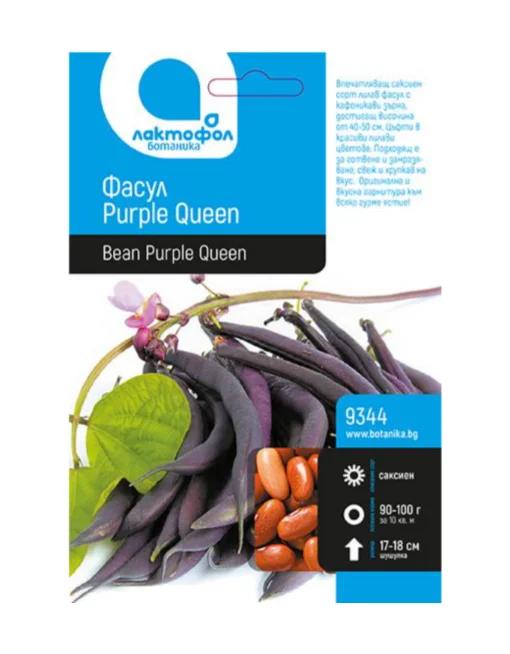 Фасул Purple Queen