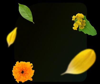 Product Background