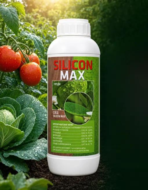 СИЛИКОН МАКС