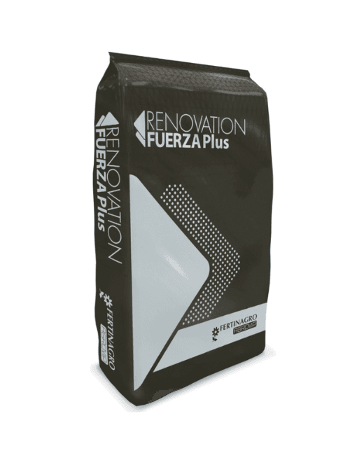 Renovation Fuerza Plus 112