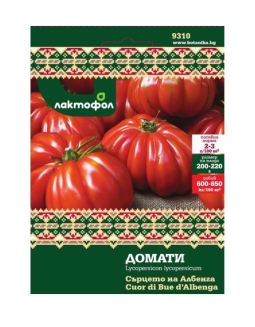 Сърцето на Албенга