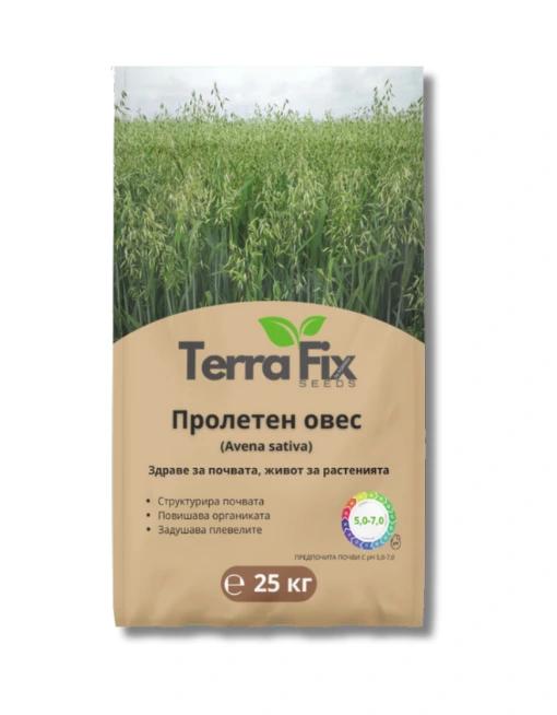 Пролетен овес