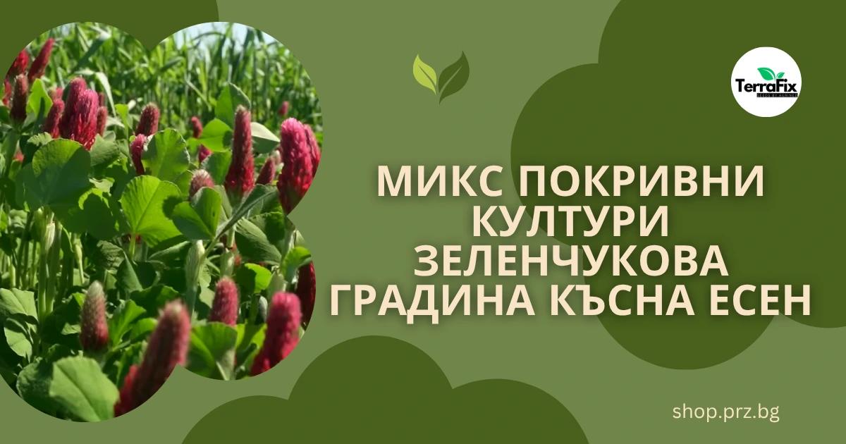 Микс Покривни Култури Зеленчукова Градина Късна Есен