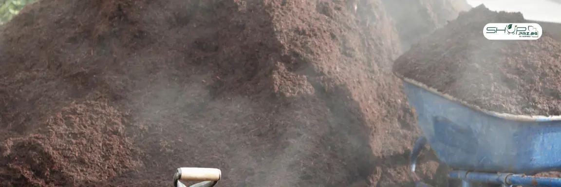 Обеззаразяване на почвата: полезни съвети от агроном